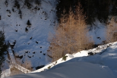 casghi20190209_120126